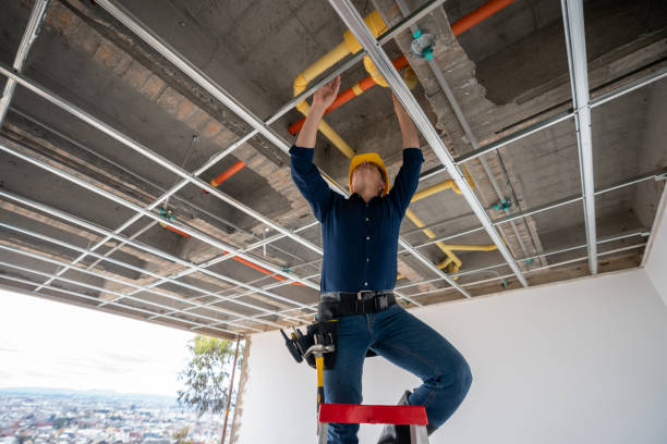 Best Plumbing Inspection Services  in Hatch, NM